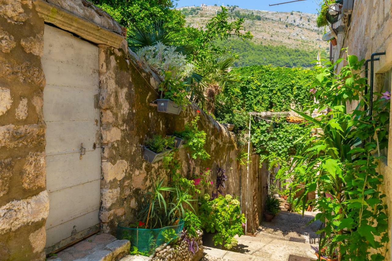 Old Town House With Floor Heating & Lush Private Garden Villa Dubrovnik Eksteriør bilde